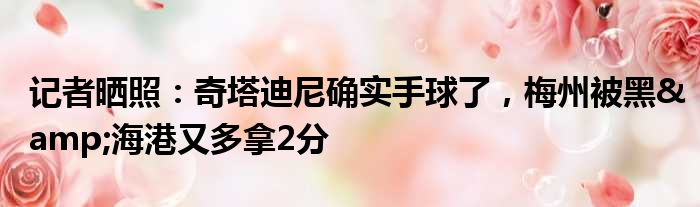 记者晒照：奇塔迪尼确实手球了，梅州被黑&海港又多拿2分