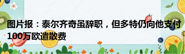 图片报：泰尔齐奇虽辞职，但多特仍向他支付100万欧遣散费