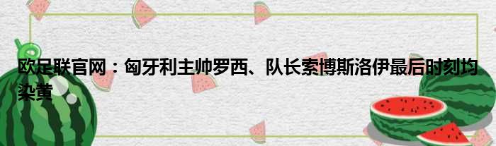 欧足联官网：匈牙利主帅罗西、队长索博斯洛伊最后时刻均染黄