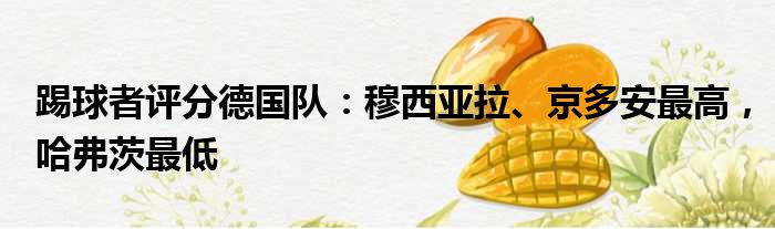 踢球者评分德国队：穆西亚拉、京多安最高，哈弗茨最低