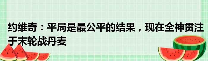 约维奇：平局是最公平的结果，现在全神贯注于末轮战丹麦