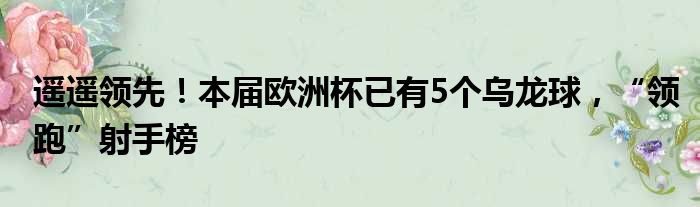 遥遥领先！本届欧洲杯已有5个乌龙球，“领跑”射手榜