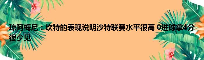 琼阿梅尼：坎特的表现说明沙特联赛水平很高 0进球拿4分很少见