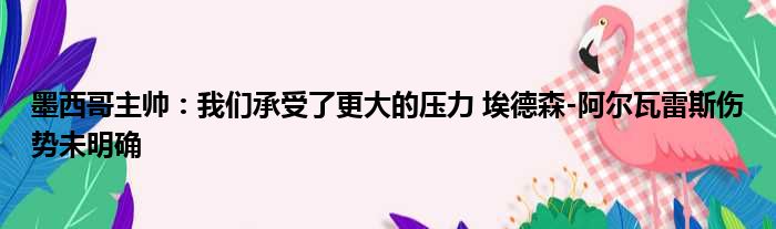 墨西哥主帅：我们承受了更大的压力 埃德森-阿尔瓦雷斯伤势未明确