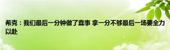 希克：我们最后一分钟做了蠢事 拿一分不够最后一场要全力以赴