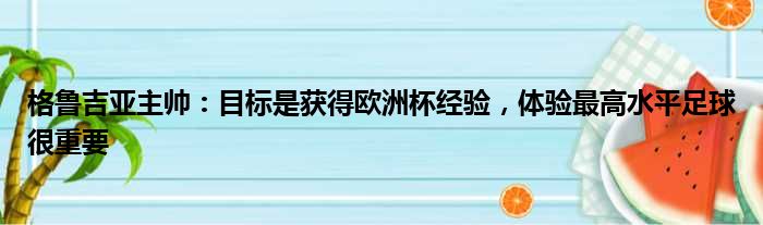 格鲁吉亚主帅：目标是获得欧洲杯经验，体验最高水平足球很重要