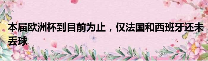 本届欧洲杯到目前为止，仅法国和西班牙还未丢球