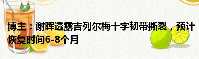 博主：谢晖透露吉列尔梅十字韧带撕裂，预计恢复时间6-8个月