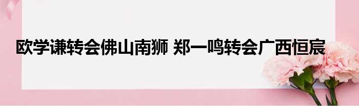 欧学谦转会佛山南狮 郑一鸣转会广西恒宸