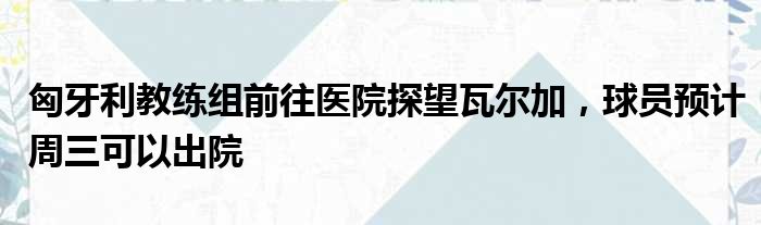 匈牙利教练组前往医院探望瓦尔加，球员预计周三可以出院