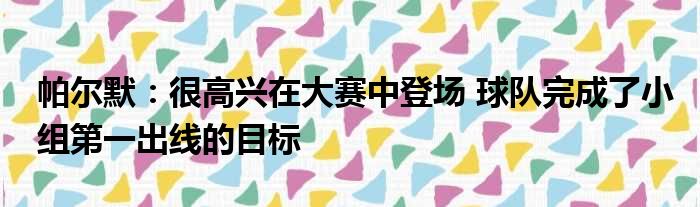 帕尔默：很高兴在大赛中登场 球队完成了小组第一出线的目标