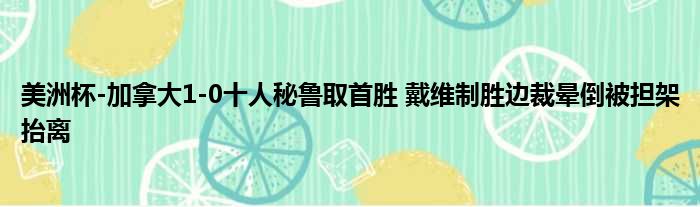 美洲杯-加拿大1-0十人秘鲁取首胜 戴维制胜边裁晕倒被担架抬离