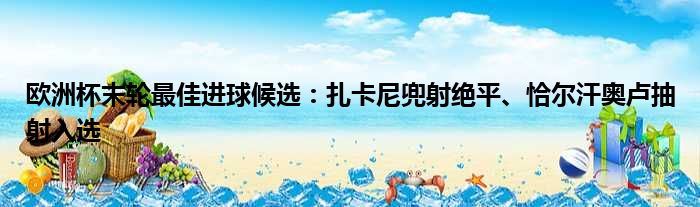 欧洲杯末轮最佳进球候选：扎卡尼兜射绝平、恰尔汗奥卢抽射入选