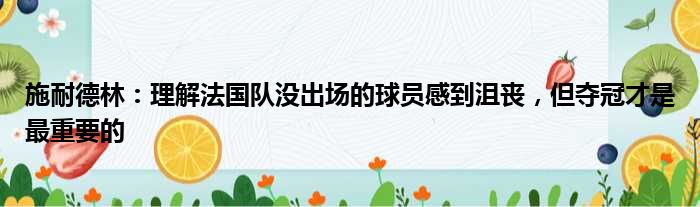 施耐德林：理解法国队没出场的球员感到沮丧，但夺冠才是最重要的