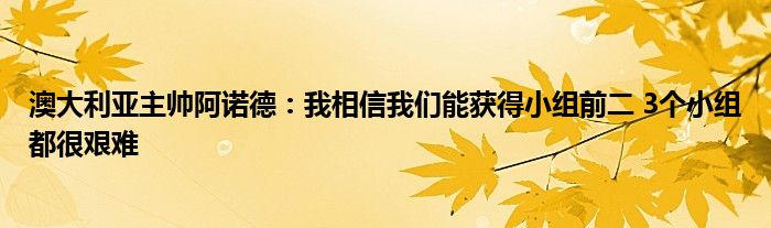 澳大利亚主帅阿诺德：我相信我们能获得小组前二 3个小组都很艰难