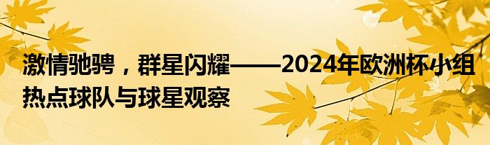 激情驰骋，群星闪耀——2024年欧洲杯小组热点球队与球星观察