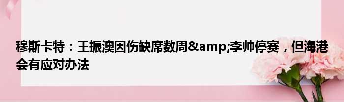 穆斯卡特：王振澳因伤缺席数周&李帅停赛，但海港会有应对办法