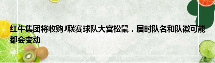 红牛集团将收购J联赛球队大宫松鼠，届时队名和队徽可能都会变动