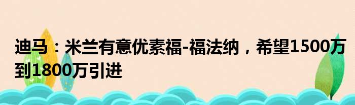 迪马：米兰有意优素福-福法纳，希望1500万到1800万引进