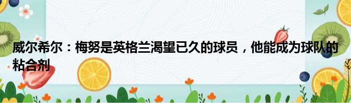 威尔希尔：梅努是英格兰渴望已久的球员，他能成为球队的粘合剂