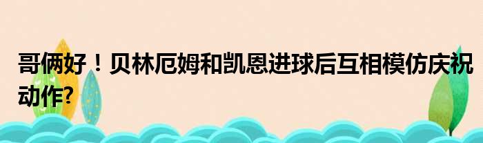 哥俩好！贝林厄姆和凯恩进球后互相模仿庆祝动作?