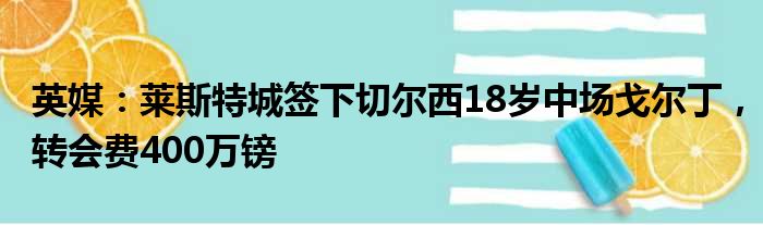 英媒：莱斯特城签下切尔西18岁中场戈尔丁，转会费400万镑