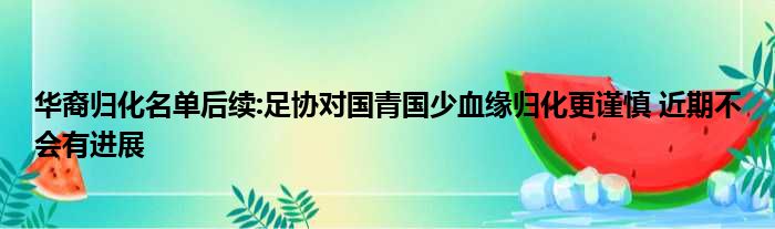 华裔归化名单后续:足协对国青国少血缘归化更谨慎 近期不会有进展