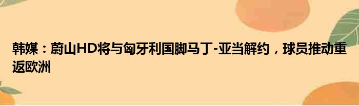 韩媒：蔚山HD将与匈牙利国脚马丁-亚当解约，球员推动重返欧洲