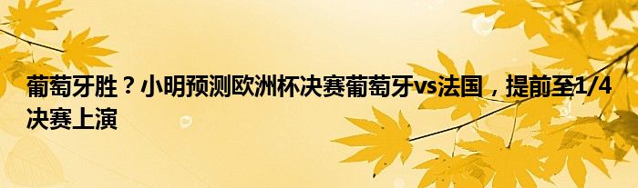 葡萄牙胜？小明预测欧洲杯决赛葡萄牙vs法国，提前至1/4决赛上演