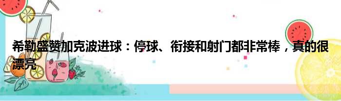 希勒盛赞加克波进球：停球、衔接和射门都非常棒，真的很漂亮