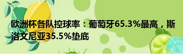 欧洲杯各队控球率：葡萄牙65.3%最高，斯洛文尼亚35.5%垫底