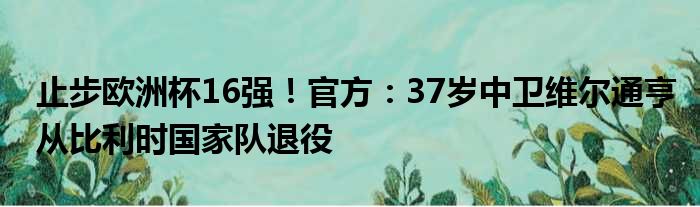 止步欧洲杯16强！官方：37岁中卫维尔通亨从比利时国家队退役