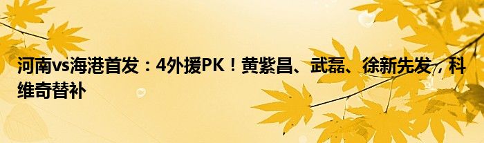 河南vs海港首发：4外援PK！黄紫昌、武磊、徐新先发，科维奇替补