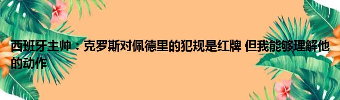 西班牙主帅：克罗斯对佩德里的犯规是红牌 但我能够理解他的动作