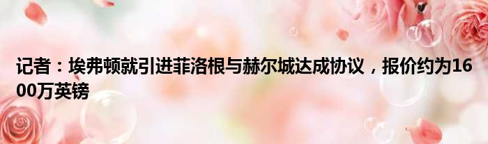 记者：埃弗顿就引进菲洛根与赫尔城达成协议，报价约为1600万英镑