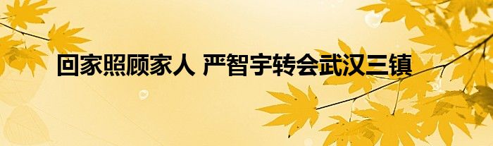 回家照顾家人 严智宇转会武汉三镇