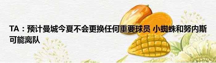 TA：预计曼城今夏不会更换任何重要球员 小蜘蛛和努内斯可能离队