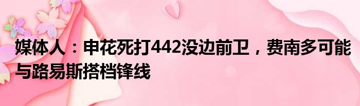 媒体人：申花死打442没边前卫，费南多可能与路易斯搭档锋线