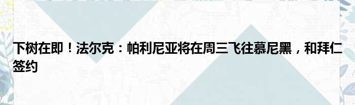 下树在即！法尔克：帕利尼亚将在周三飞往慕尼黑，和拜仁签约