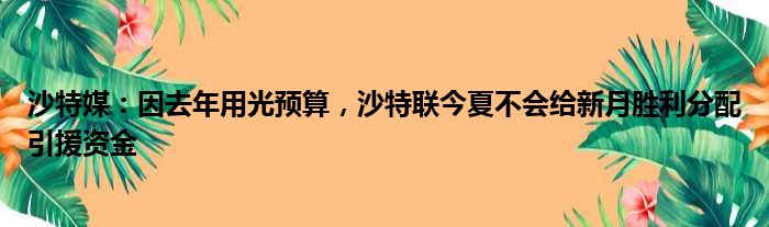 沙特媒：因去年用光预算，沙特联今夏不会给新月胜利分配引援资金