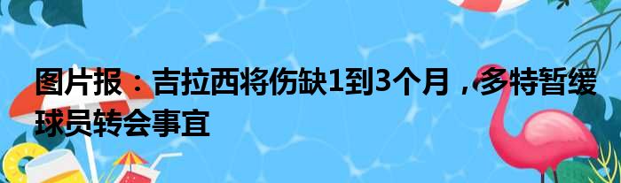 图片报：吉拉西将伤缺1到3个月，多特暂缓球员转会事宜