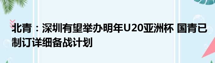 北青：深圳有望举办明年U20亚洲杯 国青已制订详细备战计划