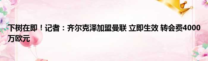 下树在即！记者：齐尔克泽加盟曼联 立即生效 转会费4000万欧元