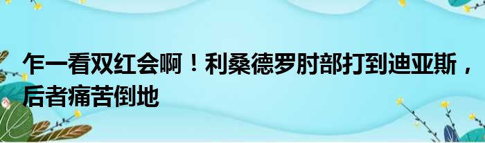 乍一看双红会啊！利桑德罗肘部打到迪亚斯，后者痛苦倒地