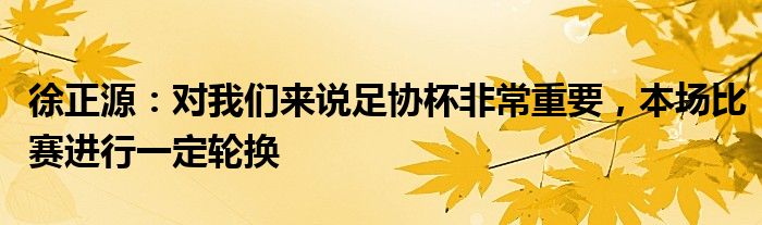 徐正源：对我们来说足协杯非常重要，本场比赛进行一定轮换