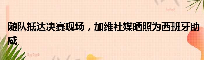 随队抵达决赛现场，加维社媒晒照为西班牙助威