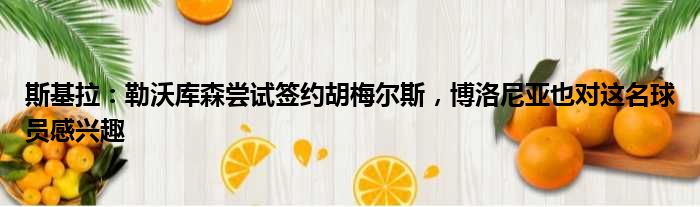 斯基拉：勒沃库森尝试签约胡梅尔斯，博洛尼亚也对这名球员感兴趣