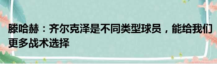 滕哈赫：齐尔克泽是不同类型球员，能给我们更多战术选择