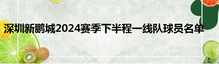 深圳新鹏城2024赛季下半程一线队球员名单