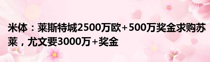 米体：莱斯特城2500万欧+500万奖金求购苏莱，尤文要3000万+奖金